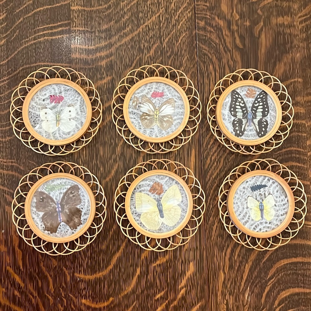 Vintage Pressed Butterfly Wicker Coaster Set
